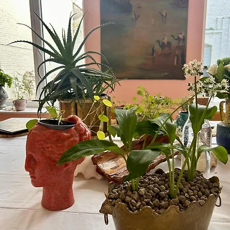 Penzion Maison Georges 4*